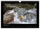 Thumbnail-11