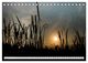 Thumbnail-12