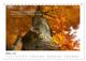 Thumbnail-12