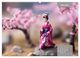 Thumbnail-8
