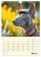 Thumbnail-10