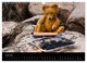 Thumbnail-8