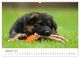 Thumbnail-11