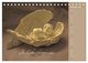 Thumbnail-12