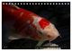 Thumbnail-12