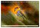 Thumbnail-12