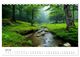 Thumbnail-9