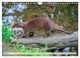 Thumbnail-12