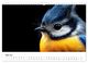 Thumbnail-10