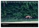 Thumbnail-11