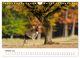 Thumbnail-12