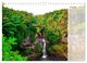 Thumbnail-10