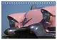 Thumbnail-12