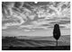 Thumbnail-10