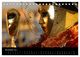 Thumbnail-13