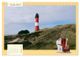 Thumbnail-13