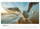 Thumbnail-14