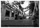 Thumbnail-11
