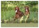 Thumbnail-11