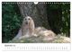 Thumbnail-11