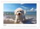 Thumbnail-9