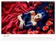 Thumbnail-9