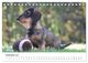 Thumbnail-14