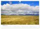 Thumbnail-12