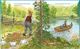 Thumbnail-3