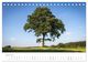 Thumbnail-9
