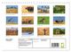 Thumbnail-10