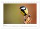 Thumbnail-10