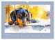 Thumbnail-3