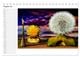 Thumbnail-10