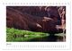Thumbnail-12