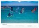 Thumbnail-13