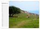 Thumbnail-10