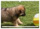 Thumbnail-9