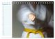 Thumbnail-14