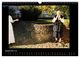 Thumbnail-11
