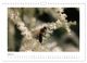 Thumbnail-12