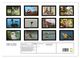 Thumbnail-13