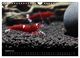 Thumbnail-10