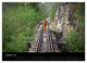 Thumbnail-12
