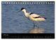 Thumbnail-12