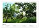 Thumbnail-10