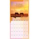 Thumbnail-9