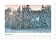 Thumbnail-13