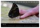 Thumbnail-12