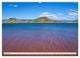 Thumbnail-14